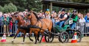 Żarówka: XVI Parada Konna. Wydarzenie, które przyciąga pasjonatów