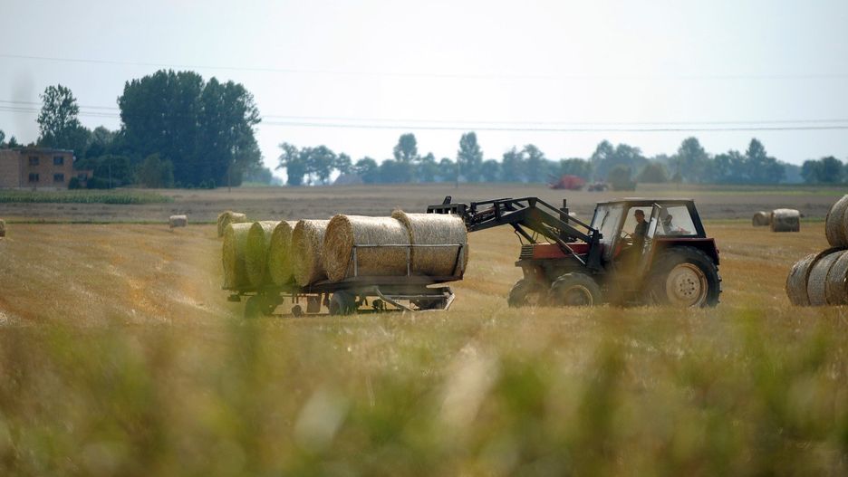 W pierwszym półroczu 2025 roku rolnicy nie mieli złudzeń, że w drugim, czyli trwającym półroczu, będzie jakaś poprawa