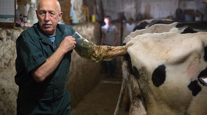 Niezwykły dr Pol
