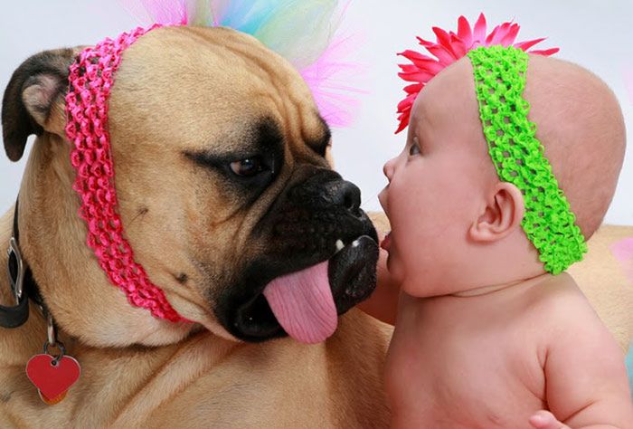 Dzieci i psy - najlepsi przyjaciele!