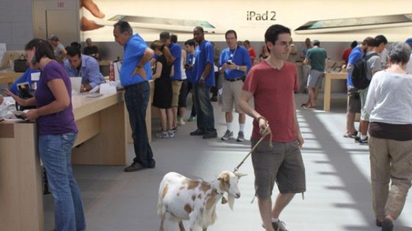 Czego nie można robić w Apple Store? [wideo] 1