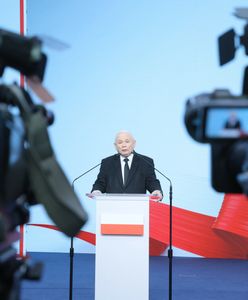 Kaczyński "zmęczył" posłów. Mają dość. Wiemy, co dalej z listami