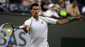 ATP Cincinnati: Djoković i Murray nie zwalniają tempa, Federer lepszy od Haasa