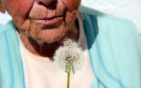 Leczenie alzheimera. Kurkumina bdzie wykorzystana w terapii?
