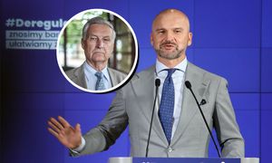 Koniec KPO? Mam nadzieję, że prezes Brzoska został źle zrozumiany [OPINIA]