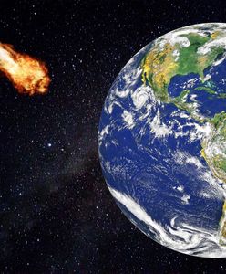 Czy asteroida 2009 JF1 uderzy w Ziemię? NASA zna odpowiedź