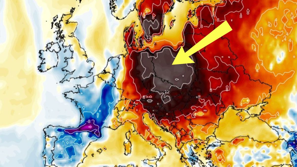 Mapa anomalii temperatury. Wrzesień ma być cieplejszy niż w przeszłości.