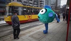 Karp grasował po ulicach Warszawy w kampanii „Przerybane” CIWF Polska