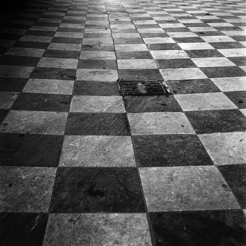 Bardziej ludzkie od ludzi. Wyjątkowe portrety zwierząt autorstwa Jacka Kusza [wywiad] 13