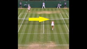 "Czy widzieliście coś takiego?". Szalony moment w meczu Switolina - Azarenka [WIDEO]