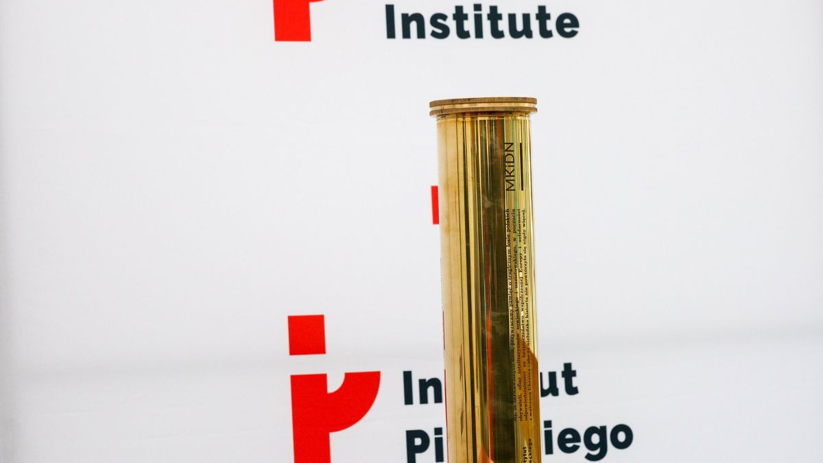 Nieprawidłowości w instytucie