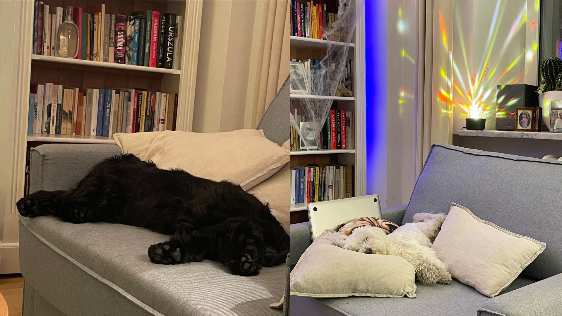 Tak wygląda "klitka na Żoliborzu" Moniki Richardson 