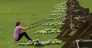 Kto arbuzem wojuje, od arbuza ginie [wideo]