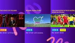 Prawie 200 tys. zł za pół minuty reklamy w TVP
