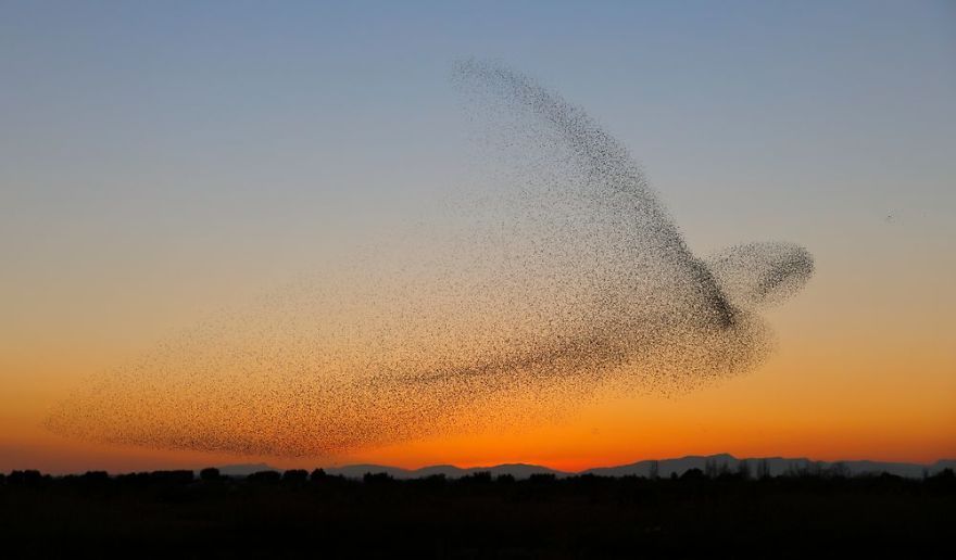Fotograf zrobił niesamowite zdjęcia - nie zdawał sobie z tego sprawy, dopóki nie zobaczył ich w domu 4