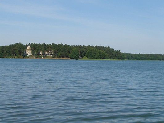 Obraz