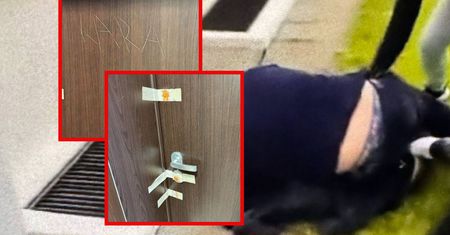 Morderca z UW mieszkał w Warszawie. Szokujące napisy na drzwiach