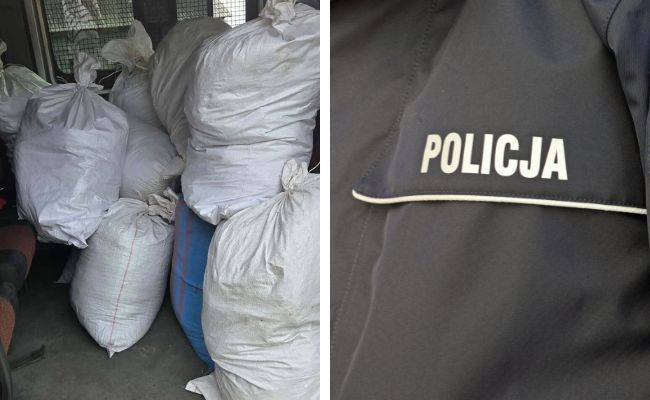 Nielegalny tytoń wart niemal pół miliona złotych. Policja z Płocka zabezpieczyła 364 kilogramy wyrobów tytoniowych