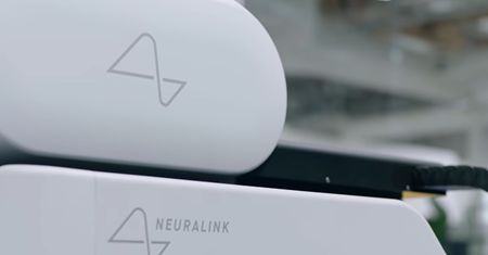Nie ma jeszcze pozwolenia na grzebanie w mózgu. Neuralink bez pozwolenia na testy na ludziach