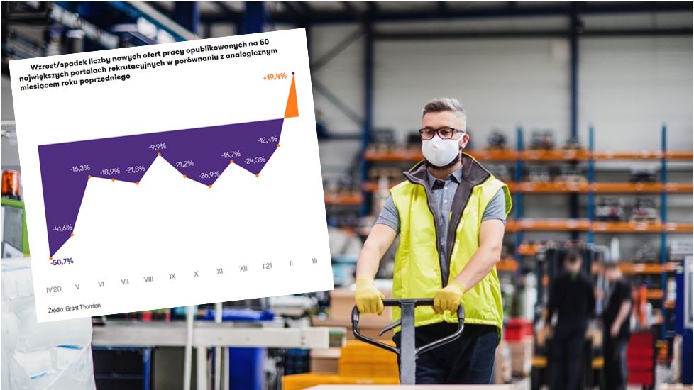 Rynek pracy, oferty pracy 