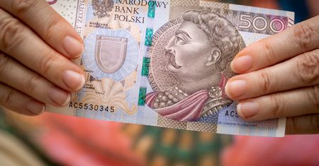 Wniosek o 800 plus. ZUS wskazał termin. Kiedy złożyć dokumenty?