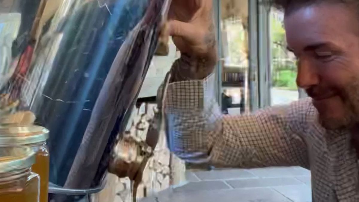 David Beckham con su primera cosecha de miel