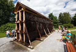 Warszawa. Zaczyna się głosowanie w ramach budżetu obywatelskiego