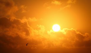 Walka z globalnym ociepleniem. Naukowcy próbują "blokować" słońce