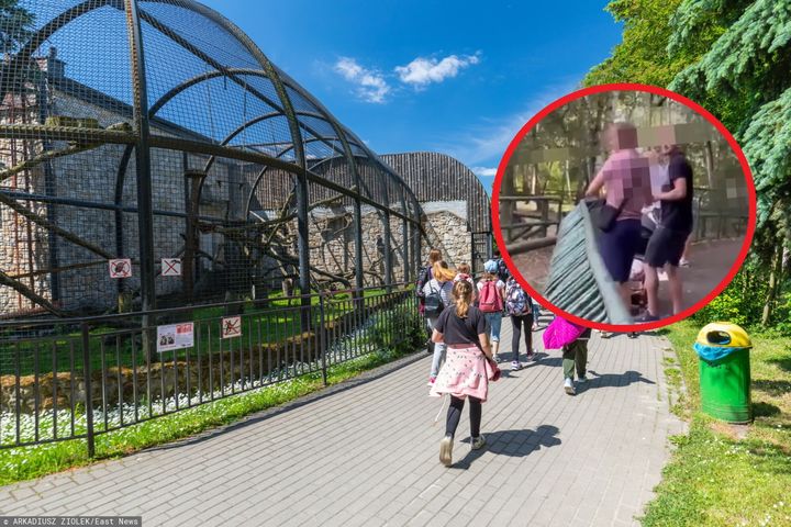 Skandaliczne zachowanie w poznańskim zoo. Zrobili to na oczach dziecka