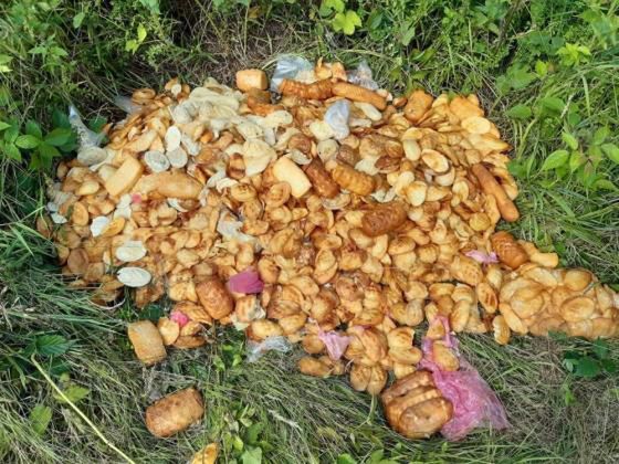 Zamiast grzybów leśnicy z Bieszczady znaleźli oscypki (Fot. Arch. Ustrzyki Dolne)