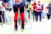 Biegi narciarskie: Tour de Ski w Toblach - bieg na 5 km stylem dowolnym mężczyzn