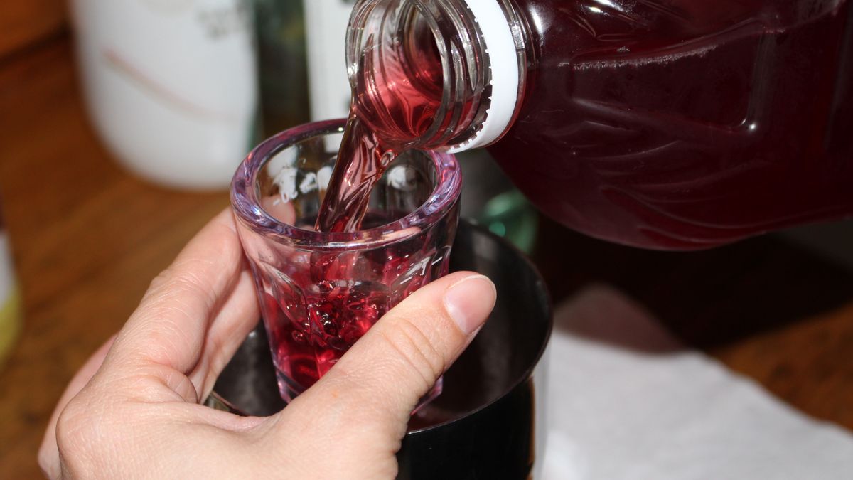 Jakie właściwości ma zakwas buraczany?