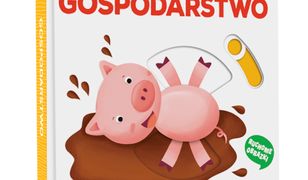 Motoryka Smyka. Gospodarstwo