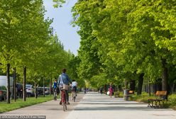 Miasto Jest Nasze: Nie można wygodnie przejechać rowerem przez centrum