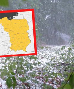 Będzie się działo. Alerty dla 12 województw, nowa prognoza pogody