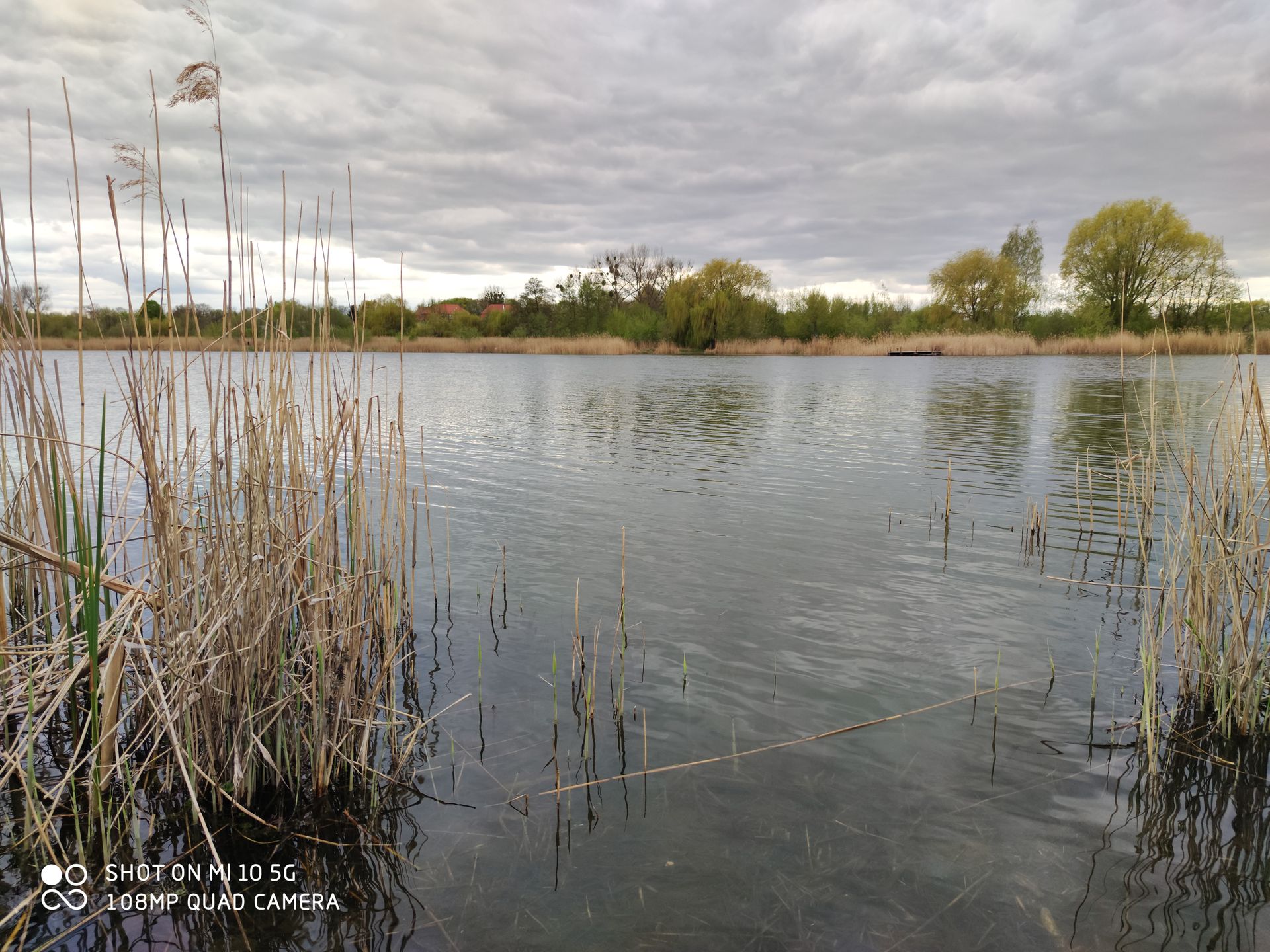 Xiaomi Mi 10. Test fotograficznych możliwości tańszej wersji flagowca 15
