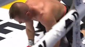 Walka Adamka zakończona przed czasem. Został znokautowany