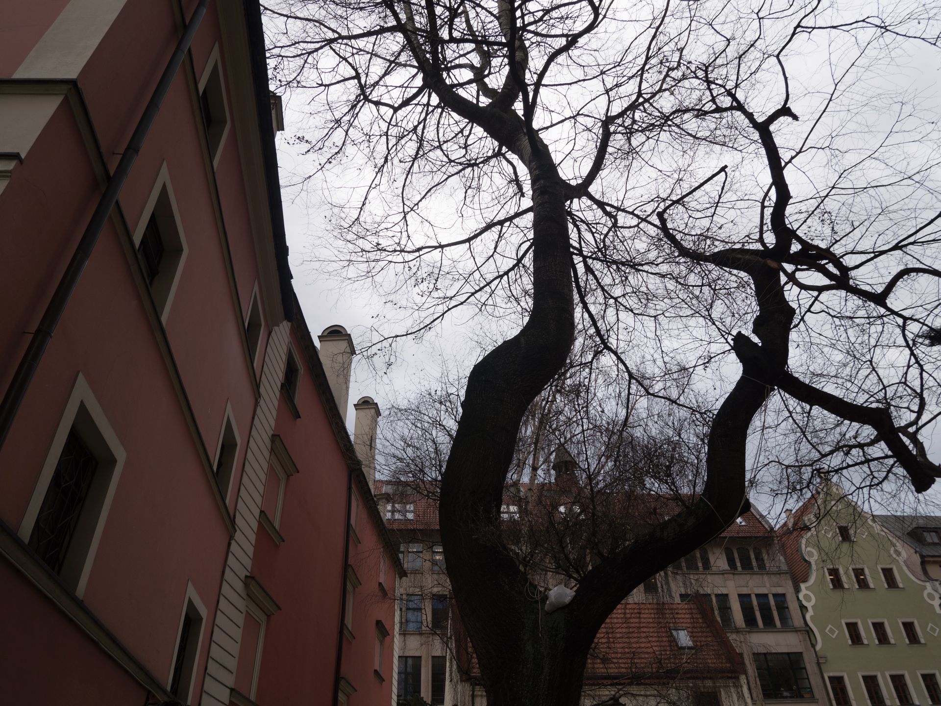 Panasonic Lumix GX8 - stabilizacja i jakość w pełnej krasie 38