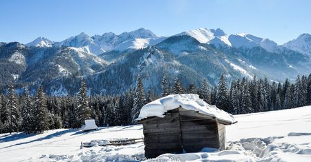 Z Wierchu Poroniec na Rusinową Polanę i Gęsią Szyję