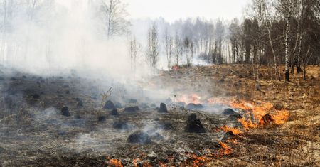 Mazowieckie. Pożary niedaleko Warszawy. Strażacy walczą z ogniem