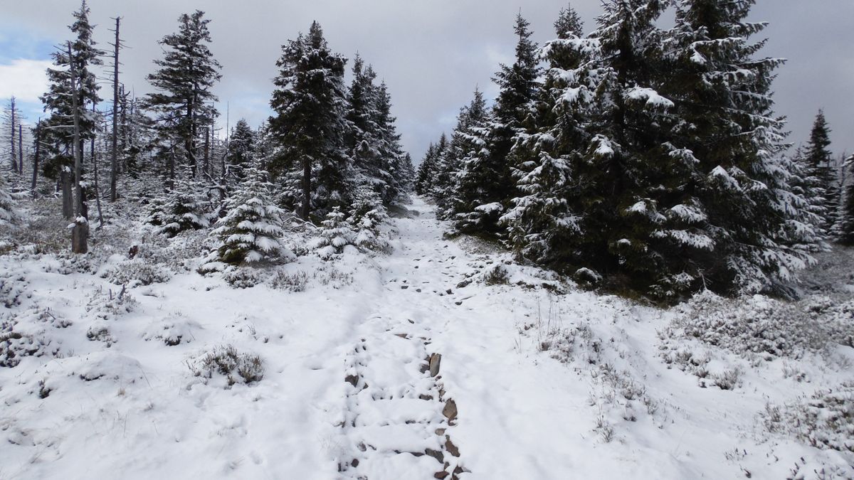Zaśnieżona ścieżka na Śnieżkę
