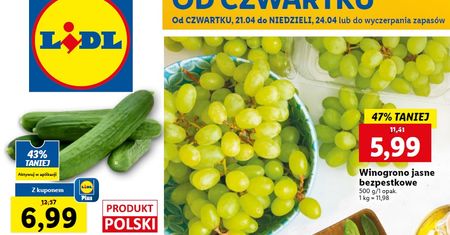 Lidl nowa gazetka od 21.04. Promocje w Lidlu od czwartku 21 kwietnia