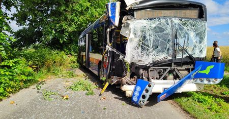 Drogowy horror pod Bydgoszczą. Autobus wbił się w drzewo