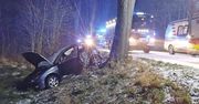 Braniewo: Auto z nastolatkami uderzyło w drzewo. Dwie osoby w szpitalu