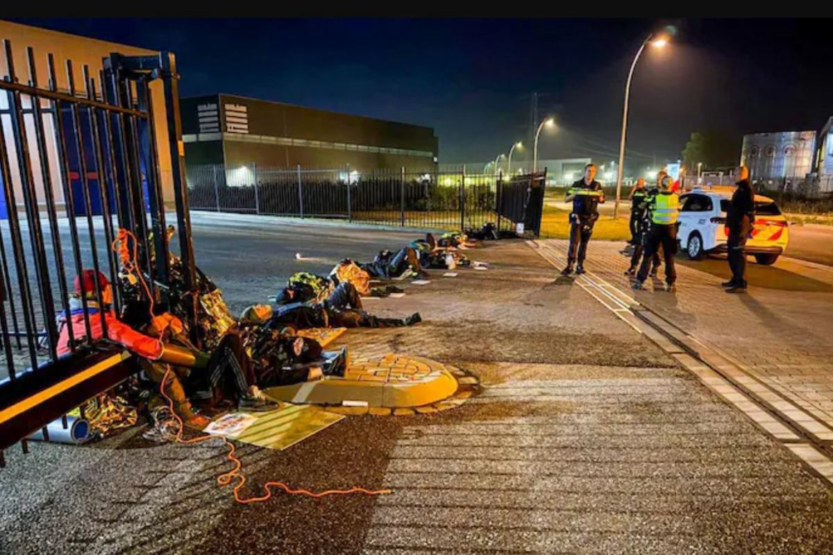 Protesty w Holandii. Aktywiści zajmują ubojnie
