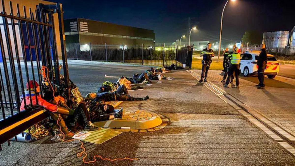 Protesty w Holandii. Aktywiści zajmują ubojnie