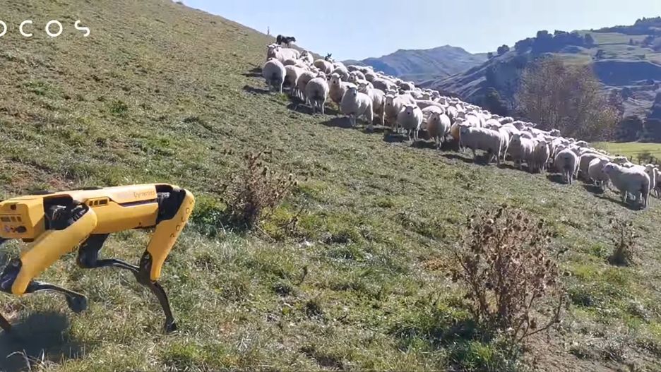 Robot-pies Boston Dynamics.
