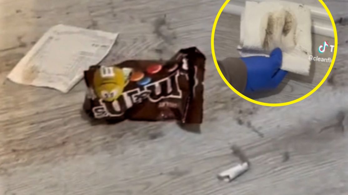 TikTokerki odwiedziły hotel we Wrocławiu 