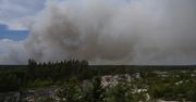 Pożar na Lubelszczyźnie trawił Puszczę Solską. "Wizytówka zmiany klimatu i naszych polskich zaniedbań"