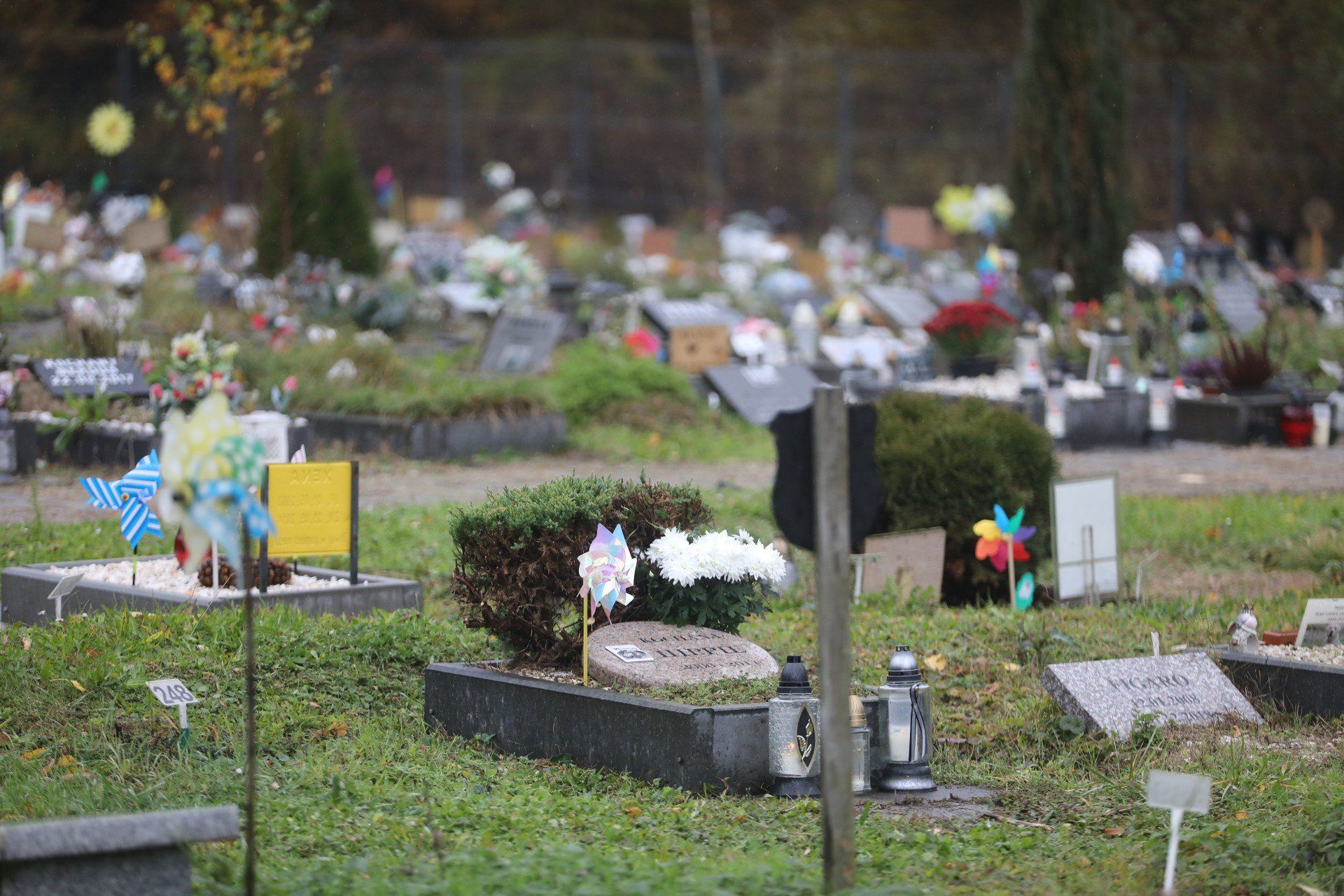 Bytomski cmentarz dla zwierząt to jedyne takie miejsce w regionie